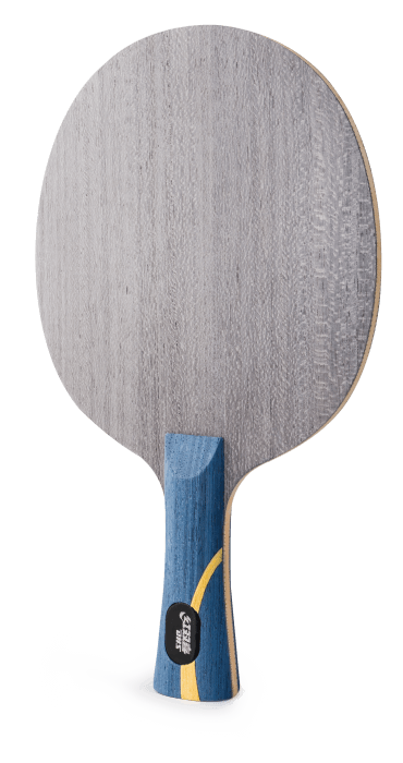N.HH-L DHS HURRICANE HAO T.T. BLADE FL