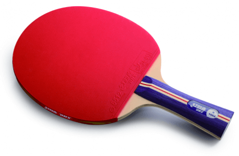 R1002 DHS T.T. BAT (LONG HANDLE AND PIMPLE IN & IN)