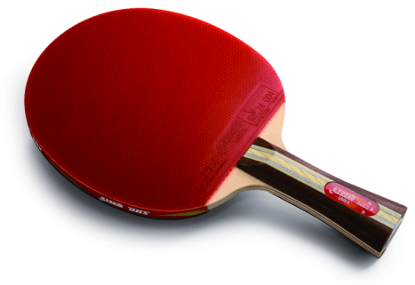 R3002 DHS T.T. BAT (LONG HANDLE AND PIMPLE IN & IN)
