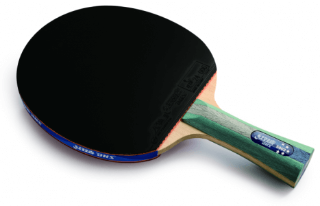 R5002 DHS T.T. BAT (LONG HANDLE AND PIMPLE IN & IN)