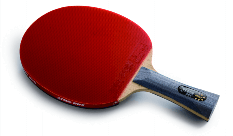R6002 DHS T.T. BAT (LONG HANDLE AND PIMPLE IN & IN)